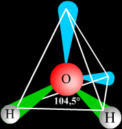 tetra.gif (6370 octets)