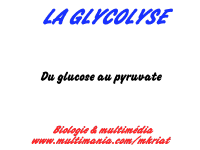 gly_logo.gif (4132 octets)