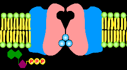 gif4.gif (5996 octets)