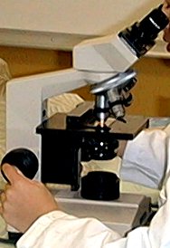 micro.jpg (14417 octets)