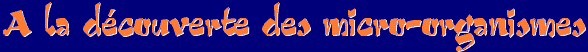 titre.gif (3812 octets)