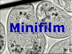 bag.jpg (17980 octets)